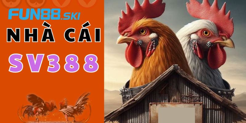 Fun88 | Sv388 - Địa Điểm Cá Cược Uy Tín Dành Cho Cược Thủ